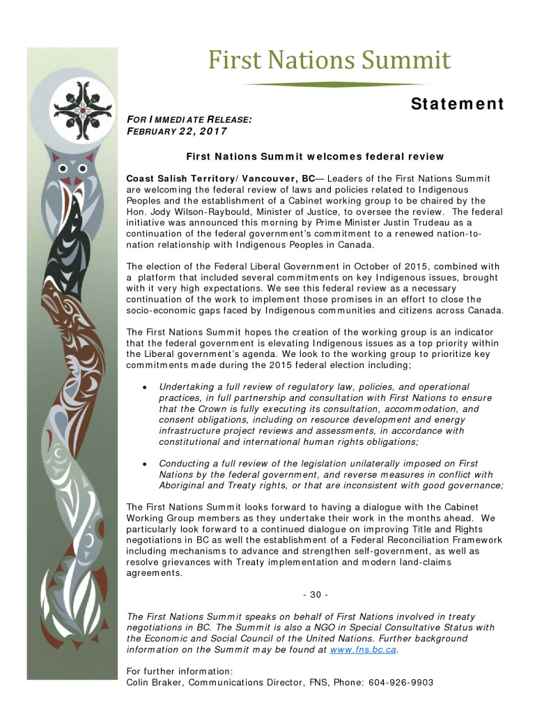 thumbnail of FNS-statement-re-fed-indigenous-review-committee-Feb-22-2017